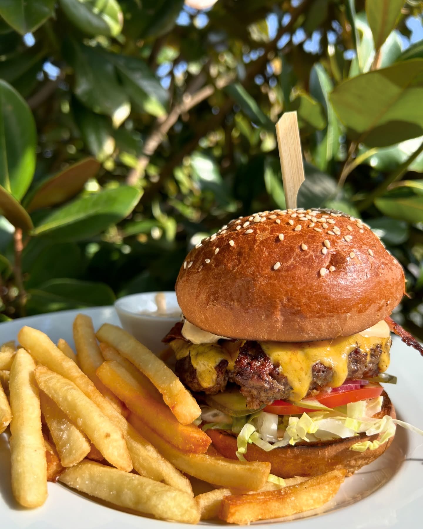 Burger s hranolkami