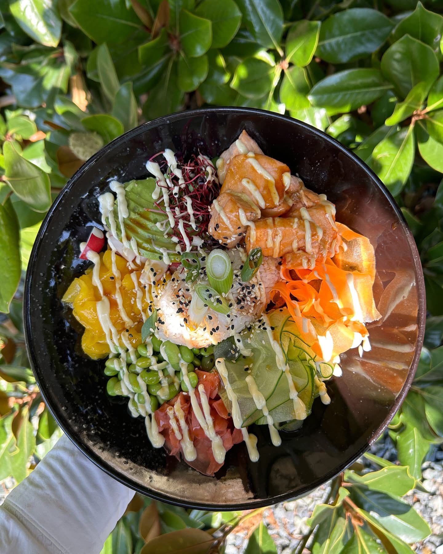 Poke bowl s lososom a avokádom